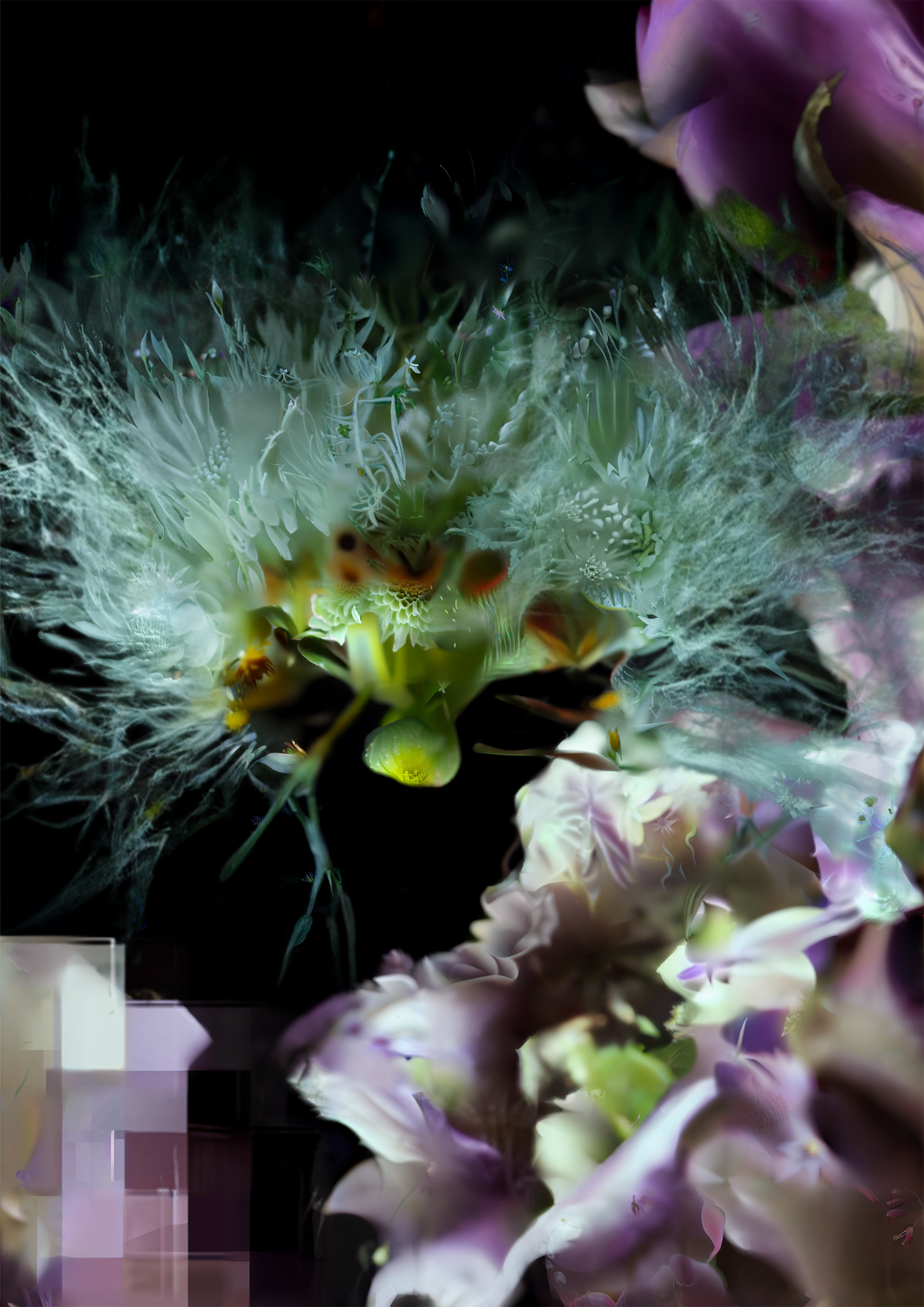 83 Seeds from a Vanishing Mountain #6